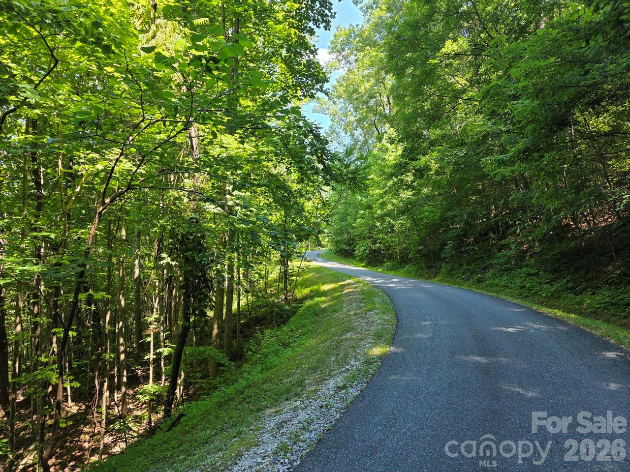 Lot 45 South S View Marion, NC 28752 - Photo 6 of 10