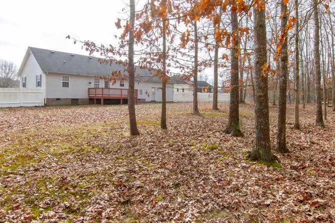 515 West Doak Road Manchester, TN 37355 - Photo 27 of 29 Backyard treelined