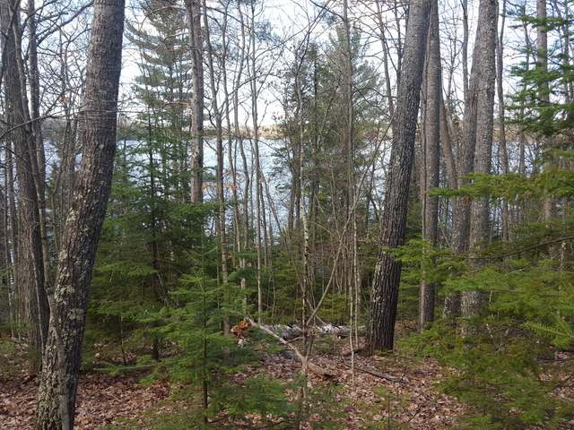 Lot 4 West Carpenter Lake Road Eagle River, WI 54521 - Photo 6 of 20 Gallery Image 6