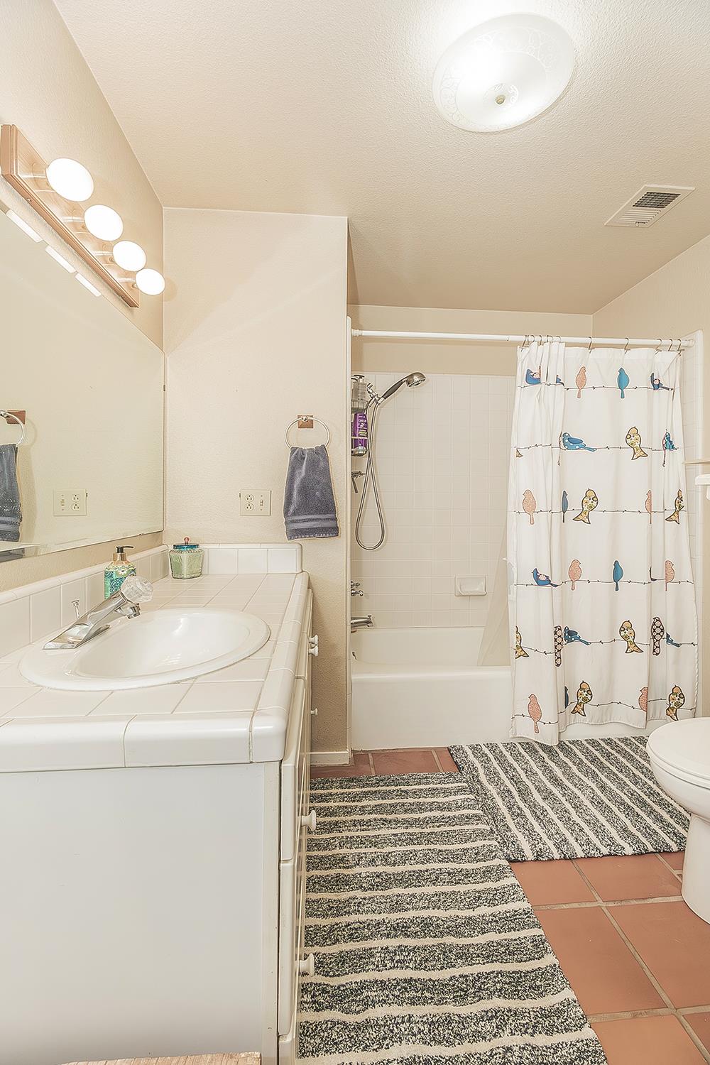 14815 Garlock Lane Prather, CA 93651 - Photo 31 of 80 a bathroom with a sink a toilet tub and shower