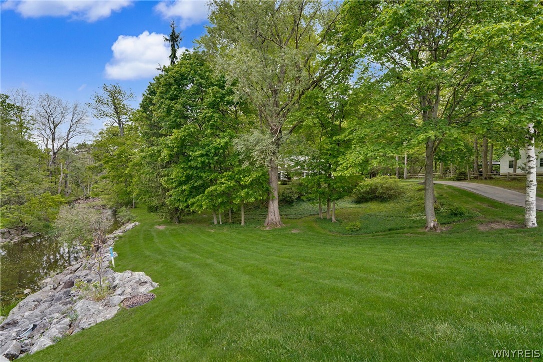 4233 Freeman Road Orchard Park, NY 14127 - Photo 45 of 50 Front yard