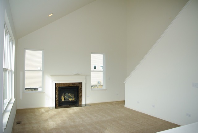 681 Ridgeview Lane Sugar Grove, IL 60554 - Photo 9 of 19 a view of an empty room with window and fire place