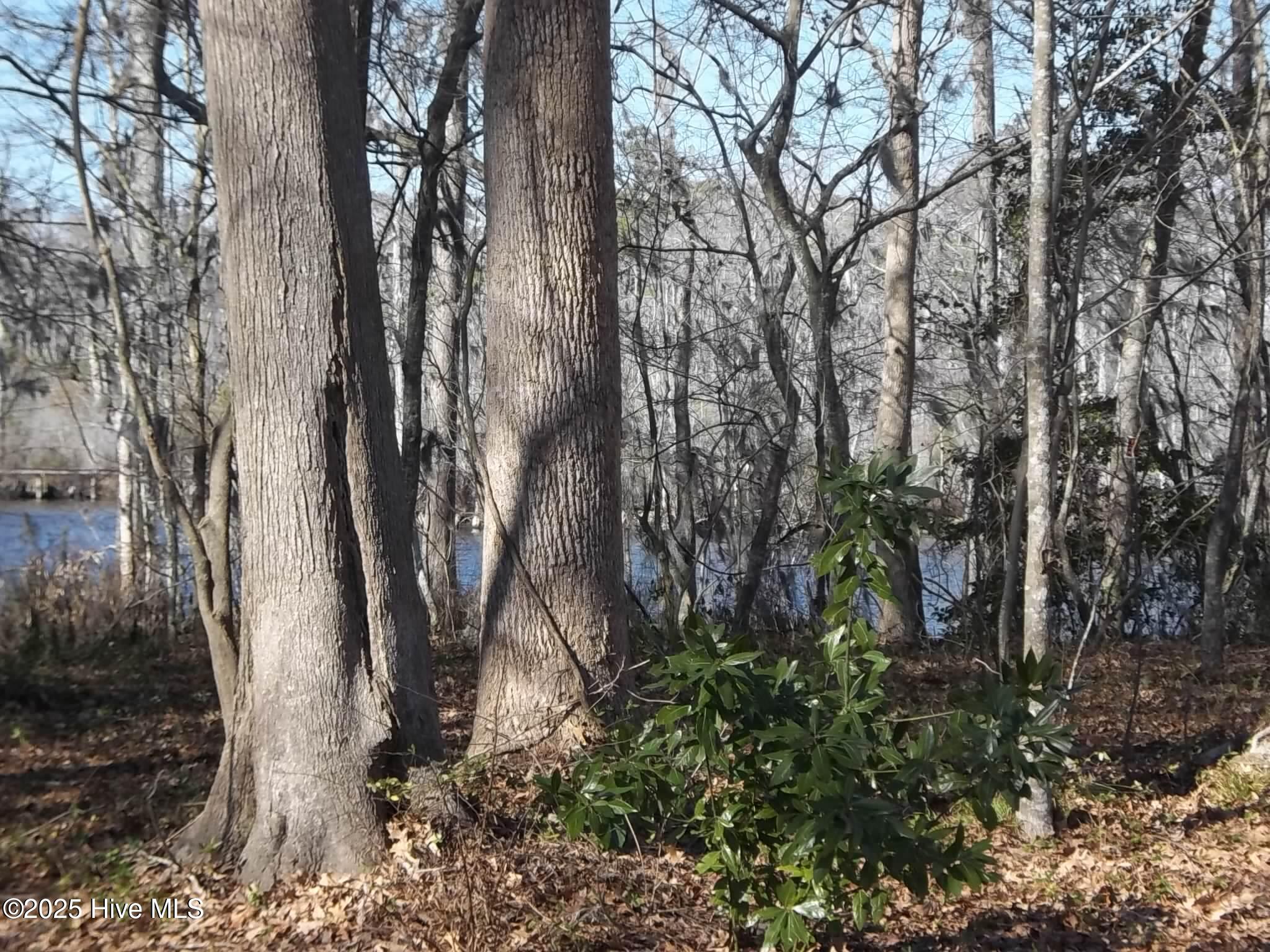 184 Dailey Road Camden, NC 27921 - Photo 6 of 15 100_2940