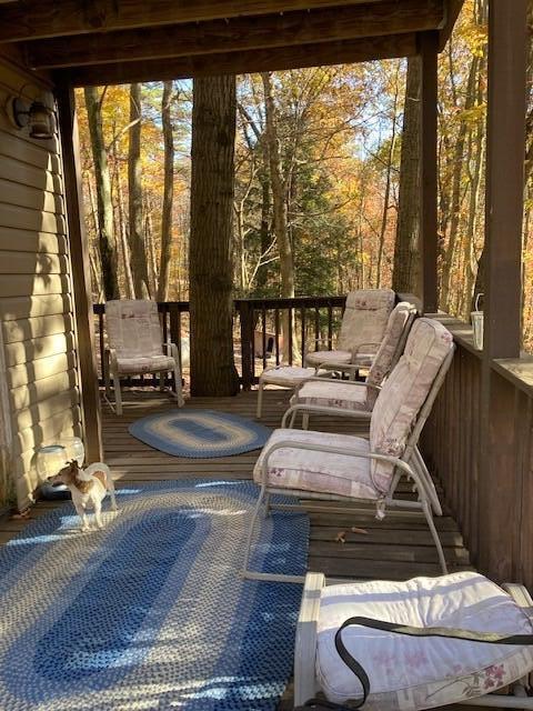15031 Notestone Road Laurelville, OH 43135 - Photo 21 of 41 Lower Deck
