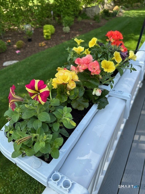 11 North Court, Unit 11 Colchester, CT 06415 - Photo 35 of 36