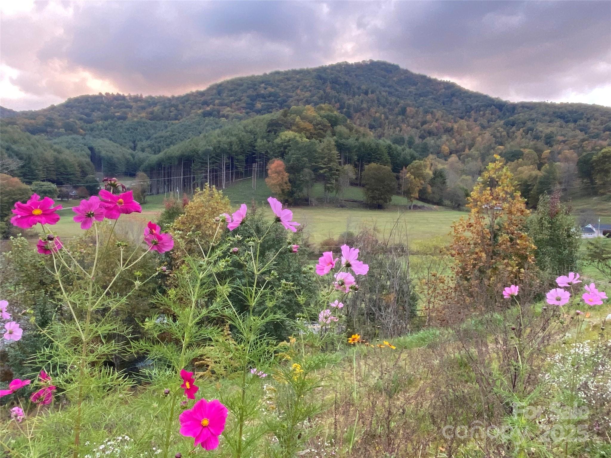 41 Hawks Rdg Estates Burnsville, NC 28714 - Photo 20 of 20