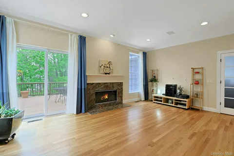 a living room with furniture rug and wooden floor