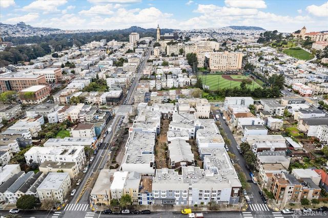 a view of a yard with plants and large trees