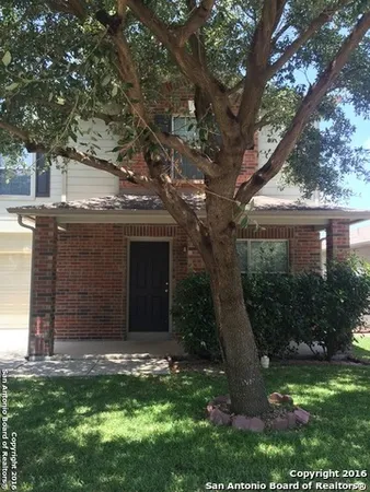 a view of a backyard with plants and large trees