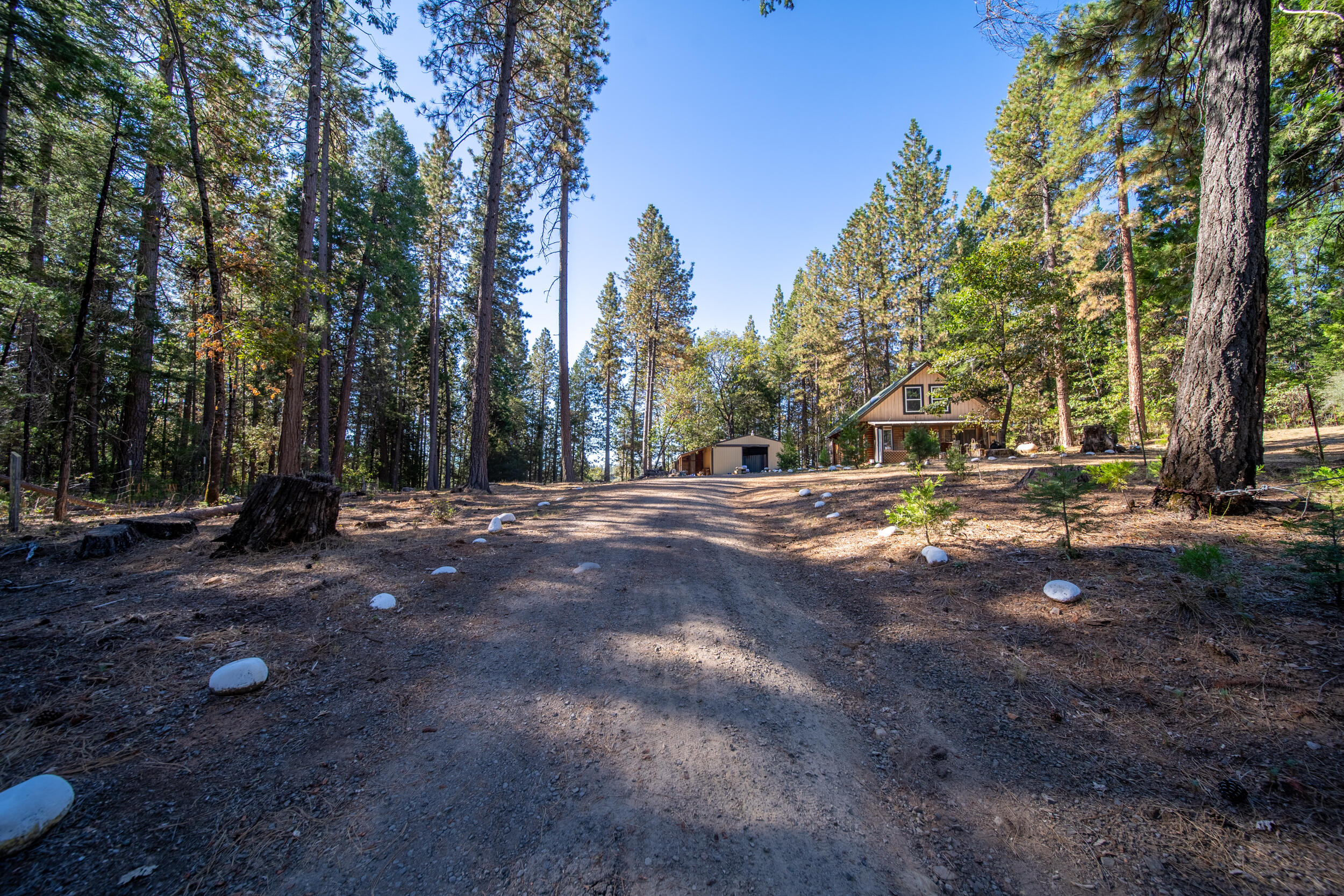 29627 Oak Run To Fern Road Oak Run, CA 96069 - Photo 29 of 32 Exterior-22