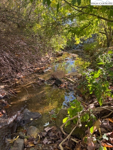 336 Willowdale Church Road Vilas, NC 28692 - Photo 4 of 35 a view of a tree