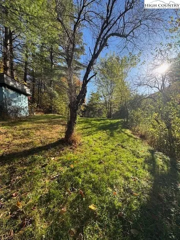 a view of a yard with an trees