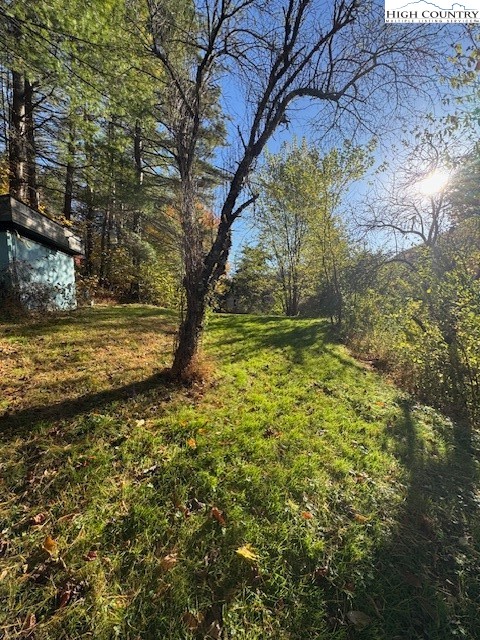 336 Willowdale Church Road Vilas, NC 28692 - Photo 5 of 35 a view of a yard with an trees