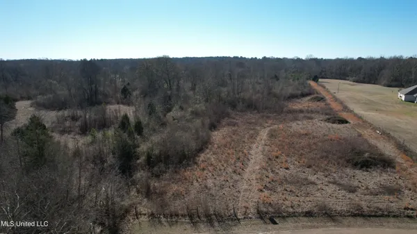 $100,000 | 0 Levon Owens Drive, Terry, MS 39170