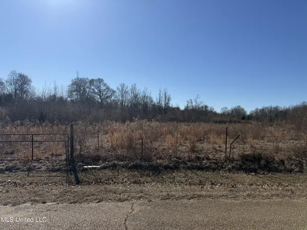 $100,000 | 0 Levon Owens Drive, Terry, MS 39170