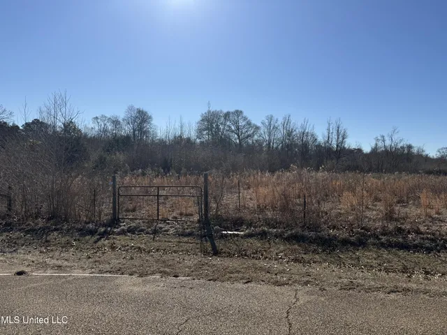 $100,000 | 0 Levon Owens Drive, Terry, MS 39170