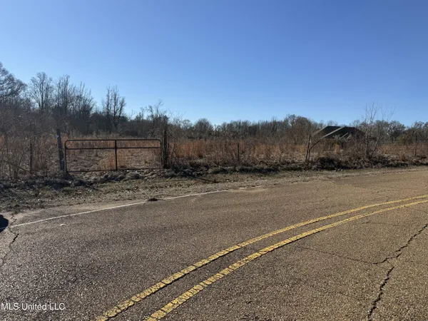 $100,000 | 0 Levon Owens Drive, Terry, MS 39170