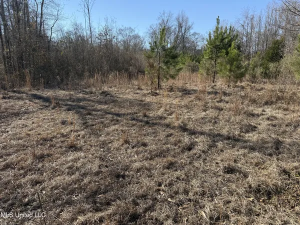 $100,000 | 0 Levon Owens Drive, Terry, MS 39170