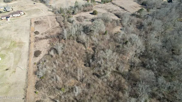 $100,000 | 0 Levon Owens Drive, Terry, MS 39170