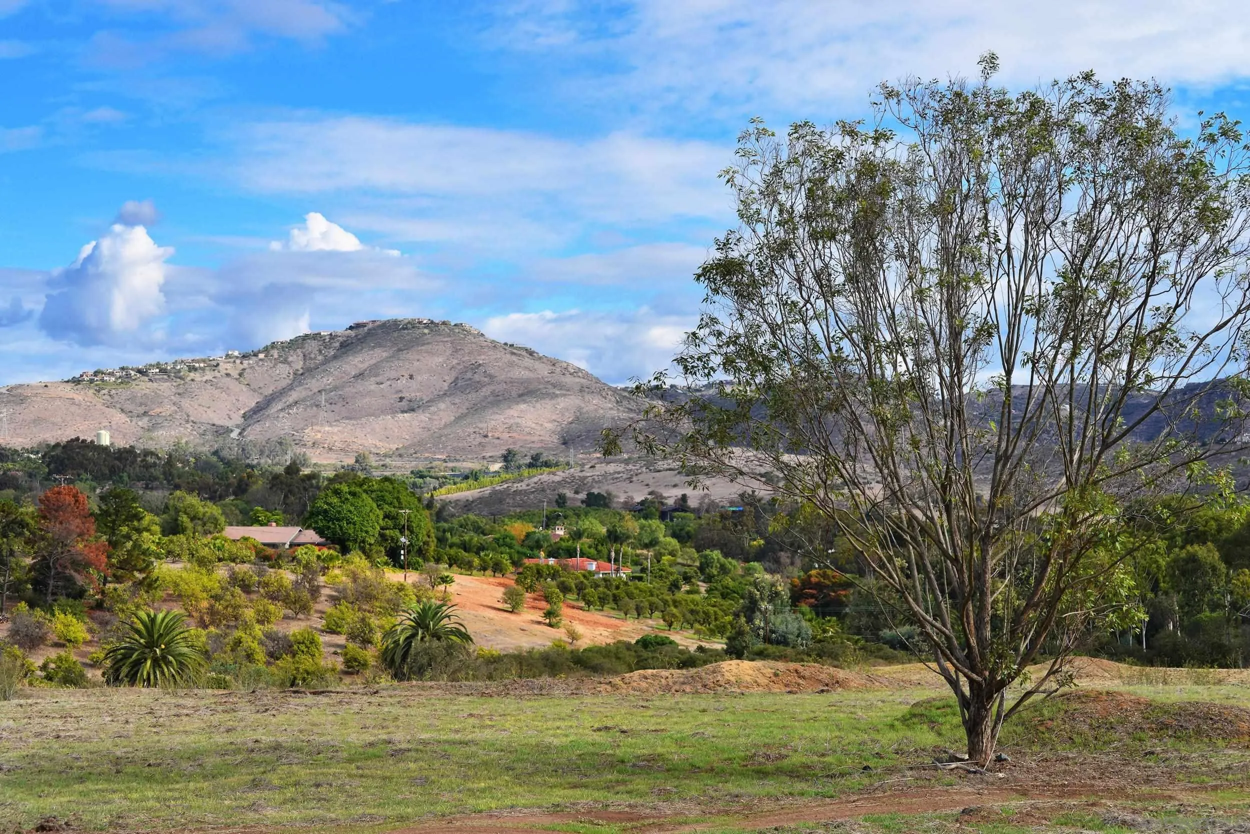 6710 El Montevideo Rancho Santa Fe, CA 92067 - Photo 2 of 9 a view of a town with mountains in the background
