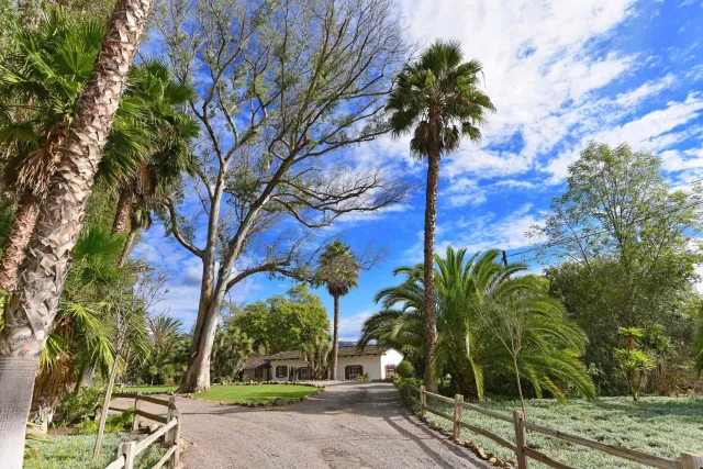 a palm tree sitting in front of a building