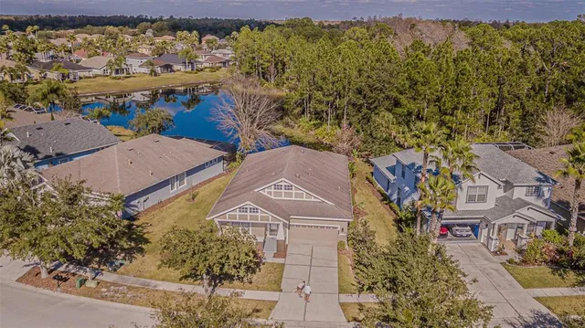 $3,000 | 20002 Heritage Point Drive, Tampa, FL 33647