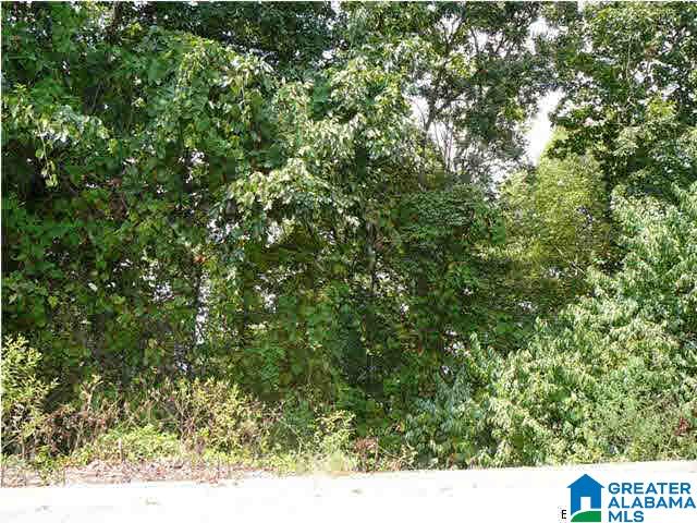 728 Hillyer High Road, Unit 9 Anniston, AL 36207 - Photo 6 of 8