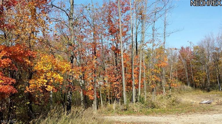 1121 Substation Road Brunswick, OH 44212 - Photo 11 of 12 Gallery Image 11