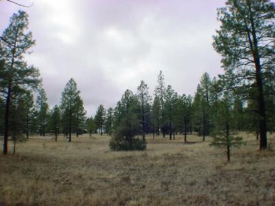 0 Lockett Ranches Tract 9j Flagstaff, AZ 86001 - Photo 2 of 3 Additional Photo