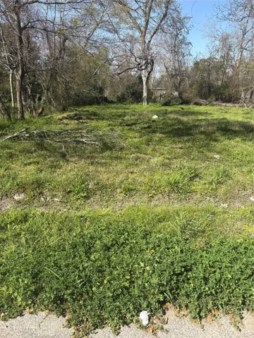 a view of a field with large trees