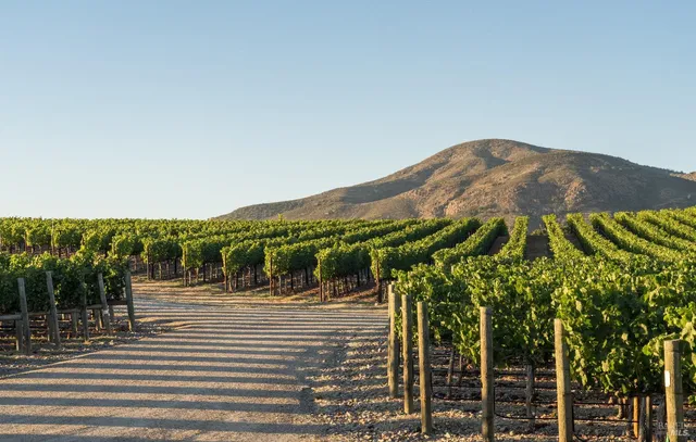 $27,000,000 | 2181 3rd Avenue, Napa, CA 94558