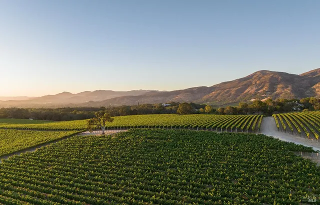 $27,000,000 | 2181 3rd Avenue, Napa, CA 94558