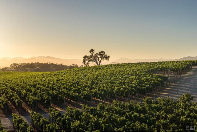 $27,000,000 | 2181 3rd Avenue, Napa, CA 94558