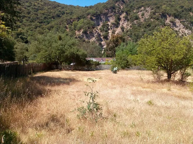 a view of dirt yard with a tree