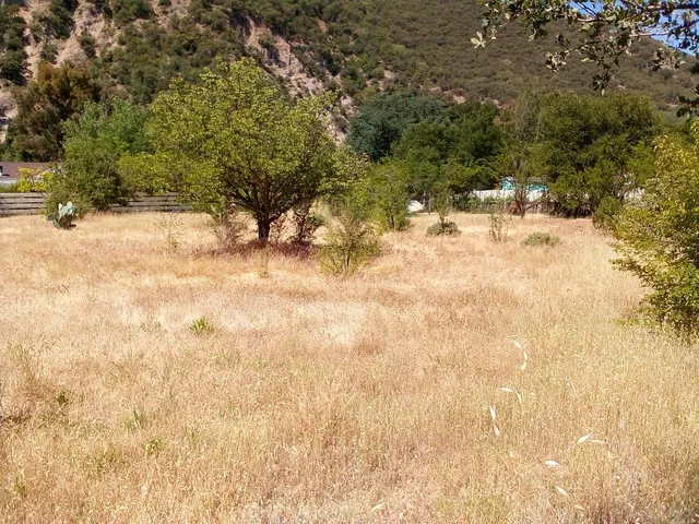 a view of yard covered with snow