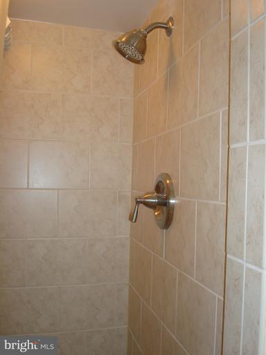 8120 Fort Hunt Road Alexandria, VA 22308 - Photo 15 of 29 Bath Lower Level
