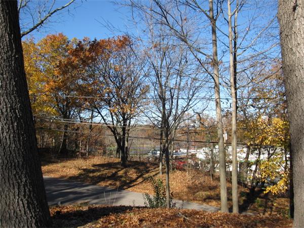 2-4 Evergreen Avenue Newton, MA 02466 - Photo 22 of 23 a view of yard with trees