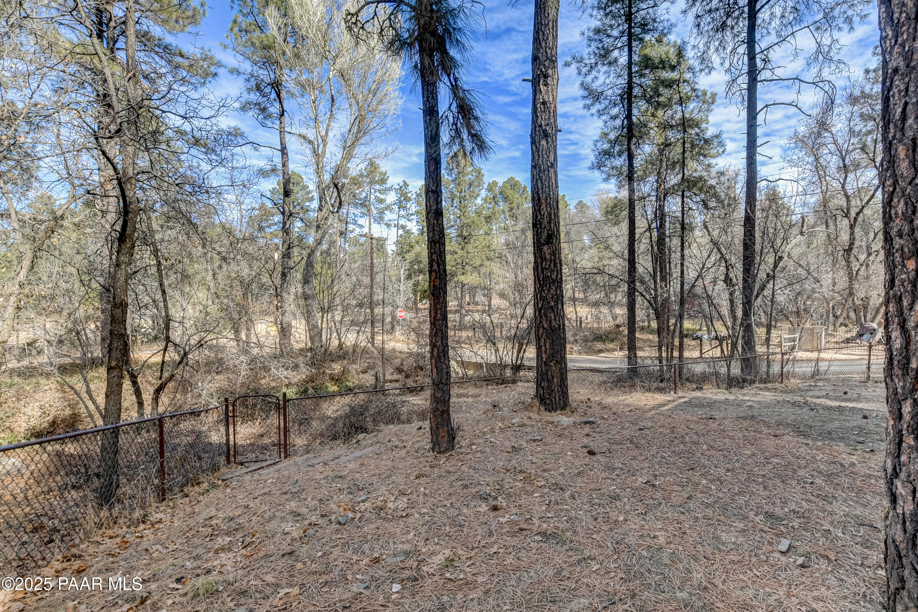 1003 East Stagecoach Road Prescott, AZ 86303 - Photo 33 of 39 Front Yard 4