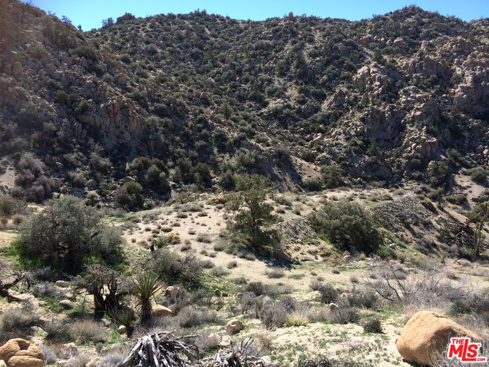 20 West Omega Trail Yucca Valley, CA 92284 - Photo 17 of 32