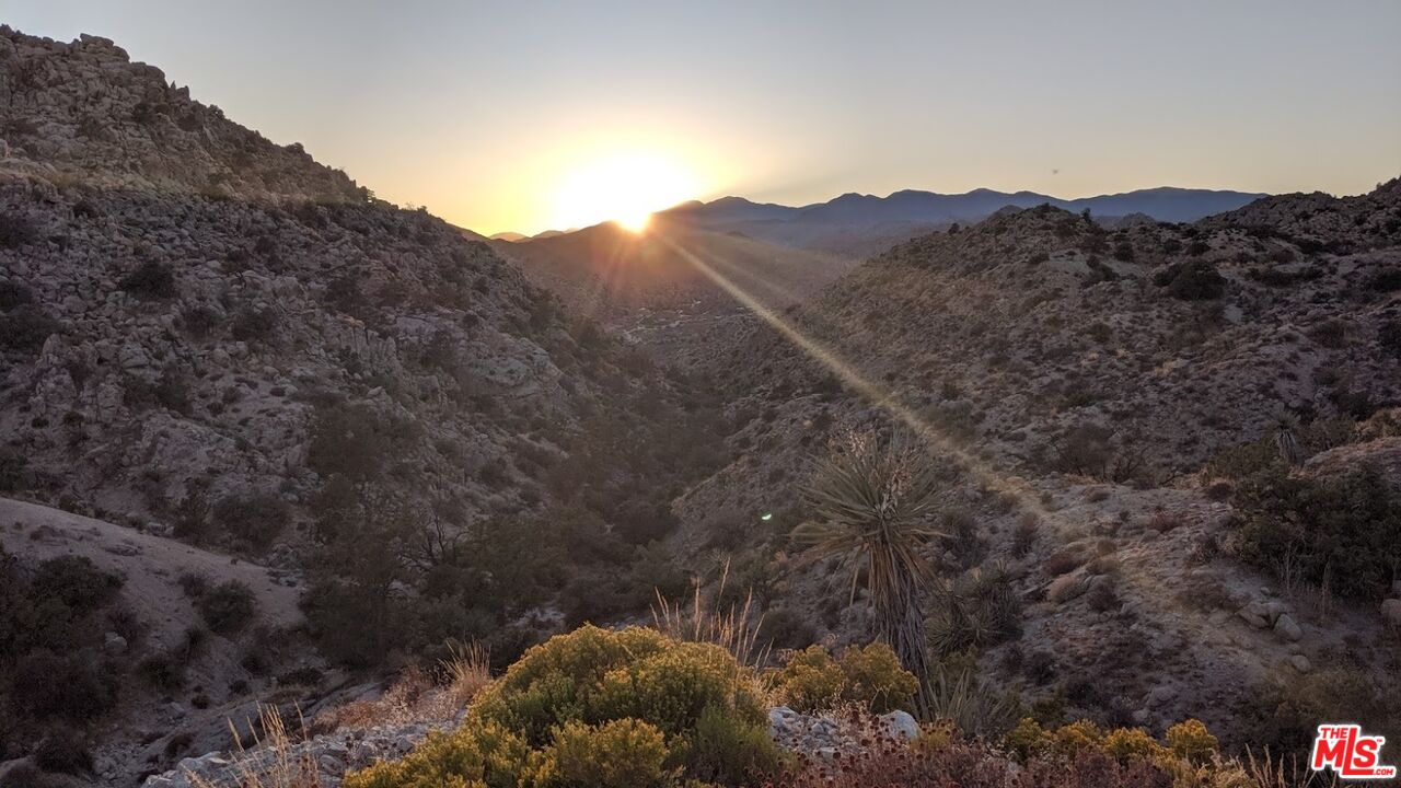 20 West Omega Trail Yucca Valley, CA 92284 - Photo 22 of 32 a view of a house with a mountain and a forest