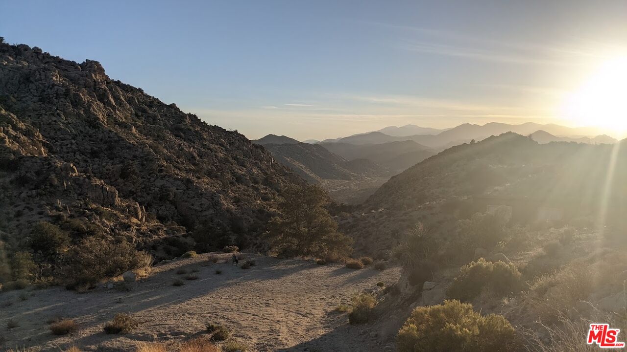 20 West Omega Trail Yucca Valley, CA 92284 - Photo 23 of 32 a view of a dry yard with mountains in the background