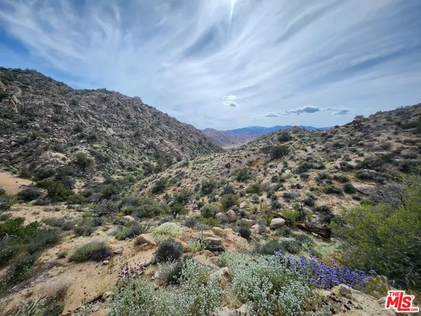 a view of a field