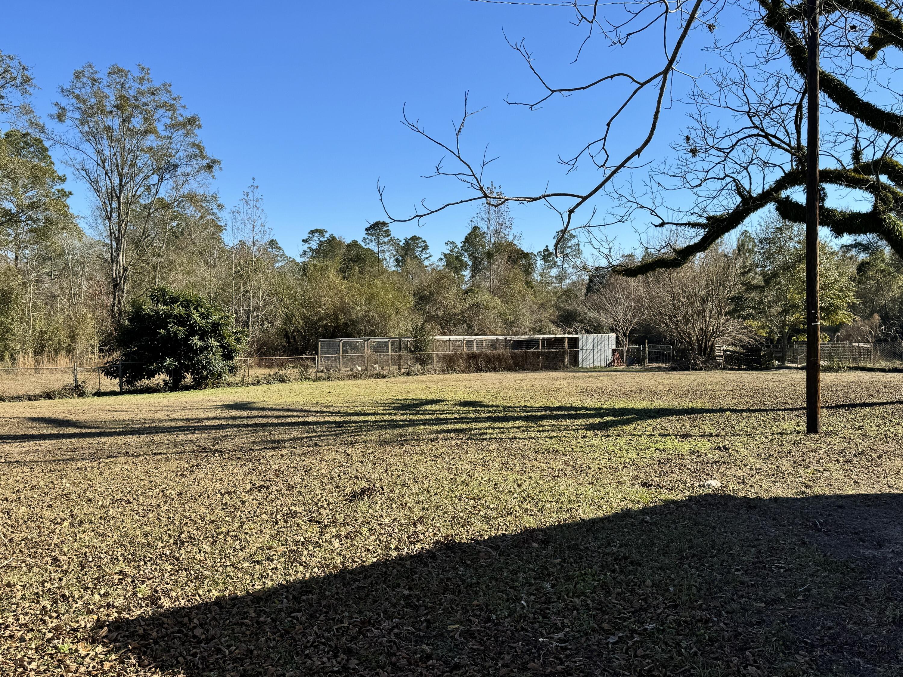 2864 Sixth Street Florala, AL 36442 - Photo 22 of 28 a view of a backyard with large trees