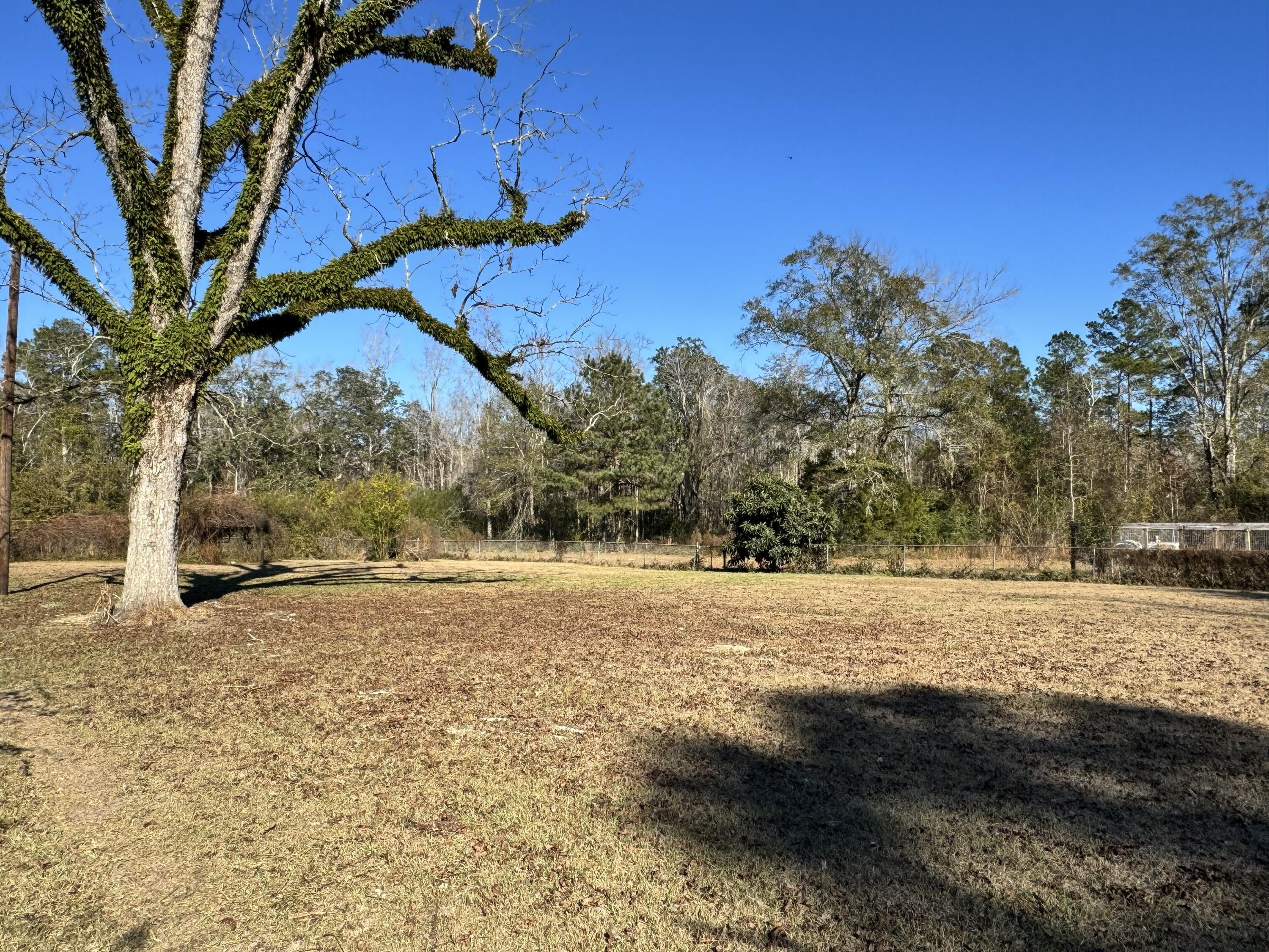 2864 Sixth Street Florala, AL 36442 - Photo 23 of 28 a view of dirt yard with large trees