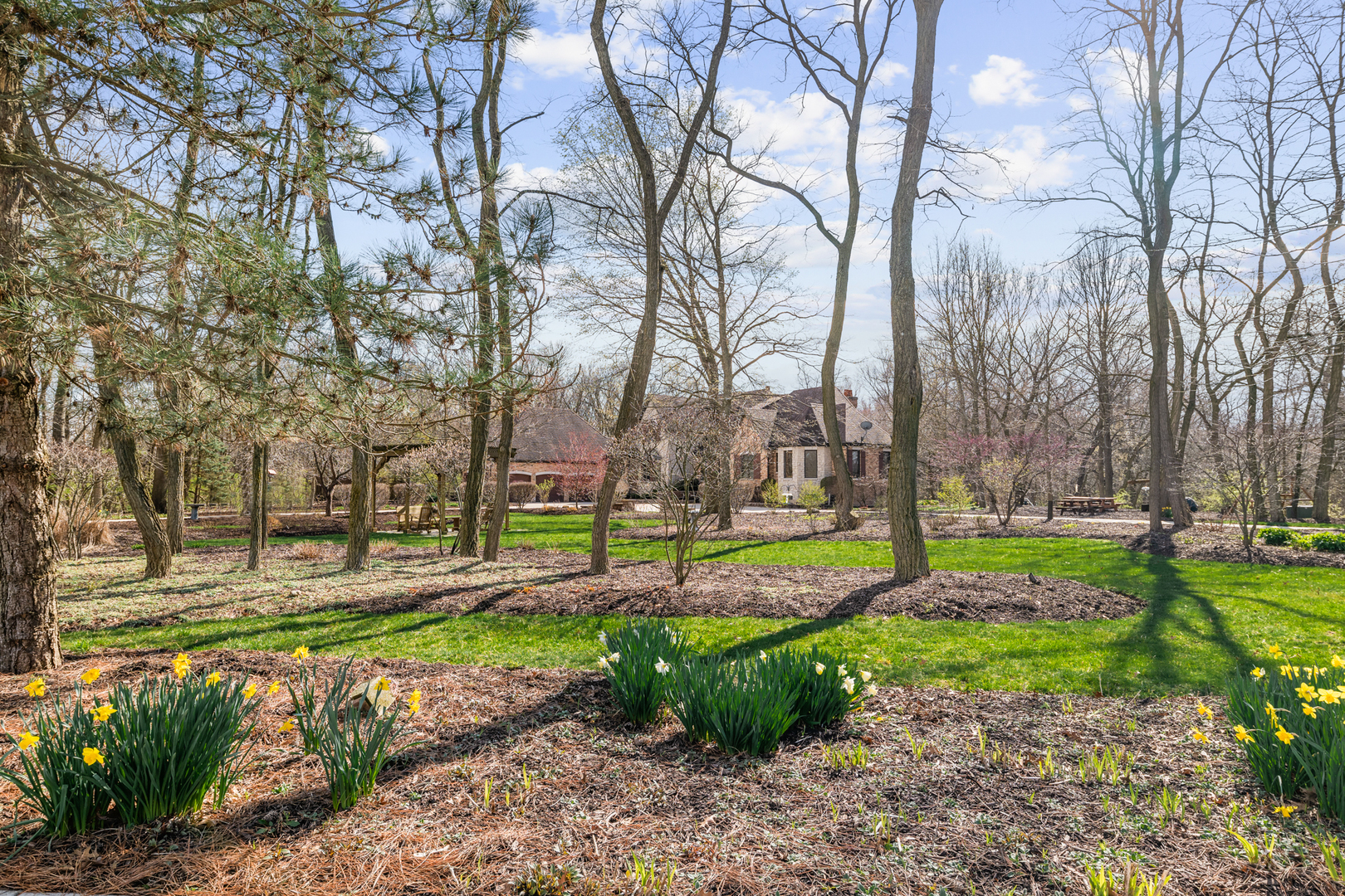4965 Cemetery Road Morris, IL 60450 - Photo 15 of 82 a view of a park with large trees