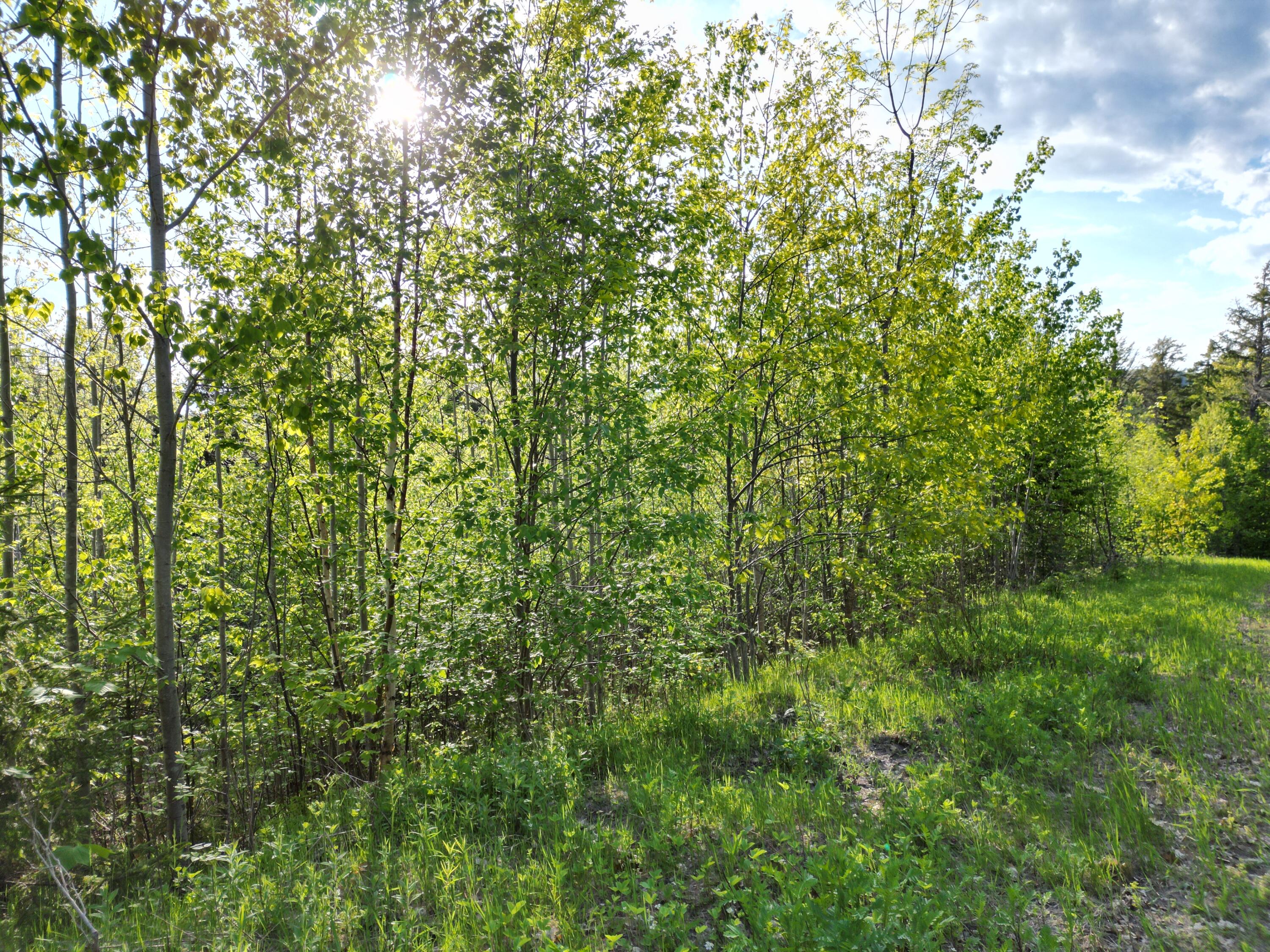 Lot 41-1 Bottle Lake Road Lakeville, ME 04487 - Photo 23 of 23 DJI_0607