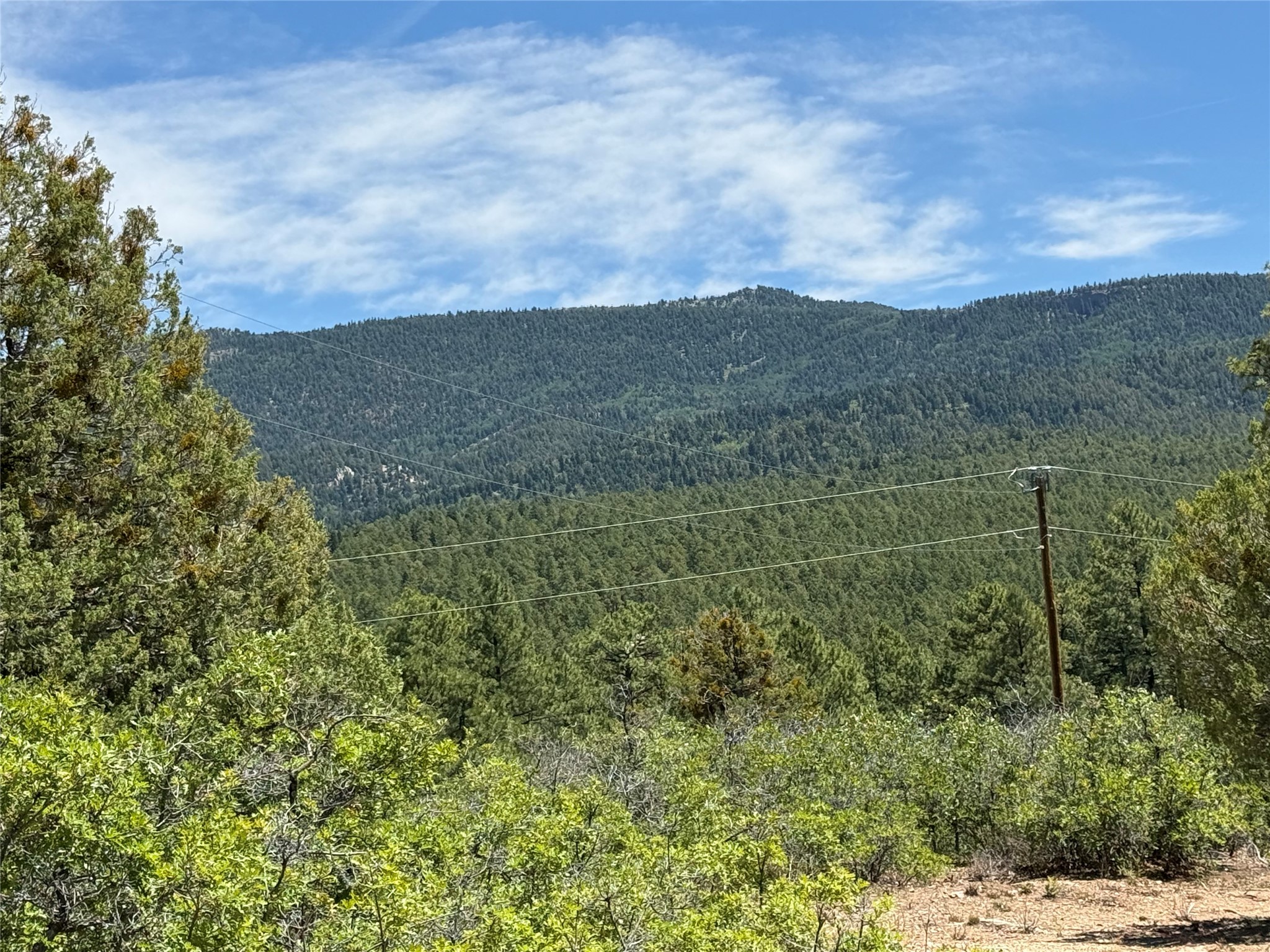 381 Buckman Road Chama, NM 87520 - Photo 14 of 23