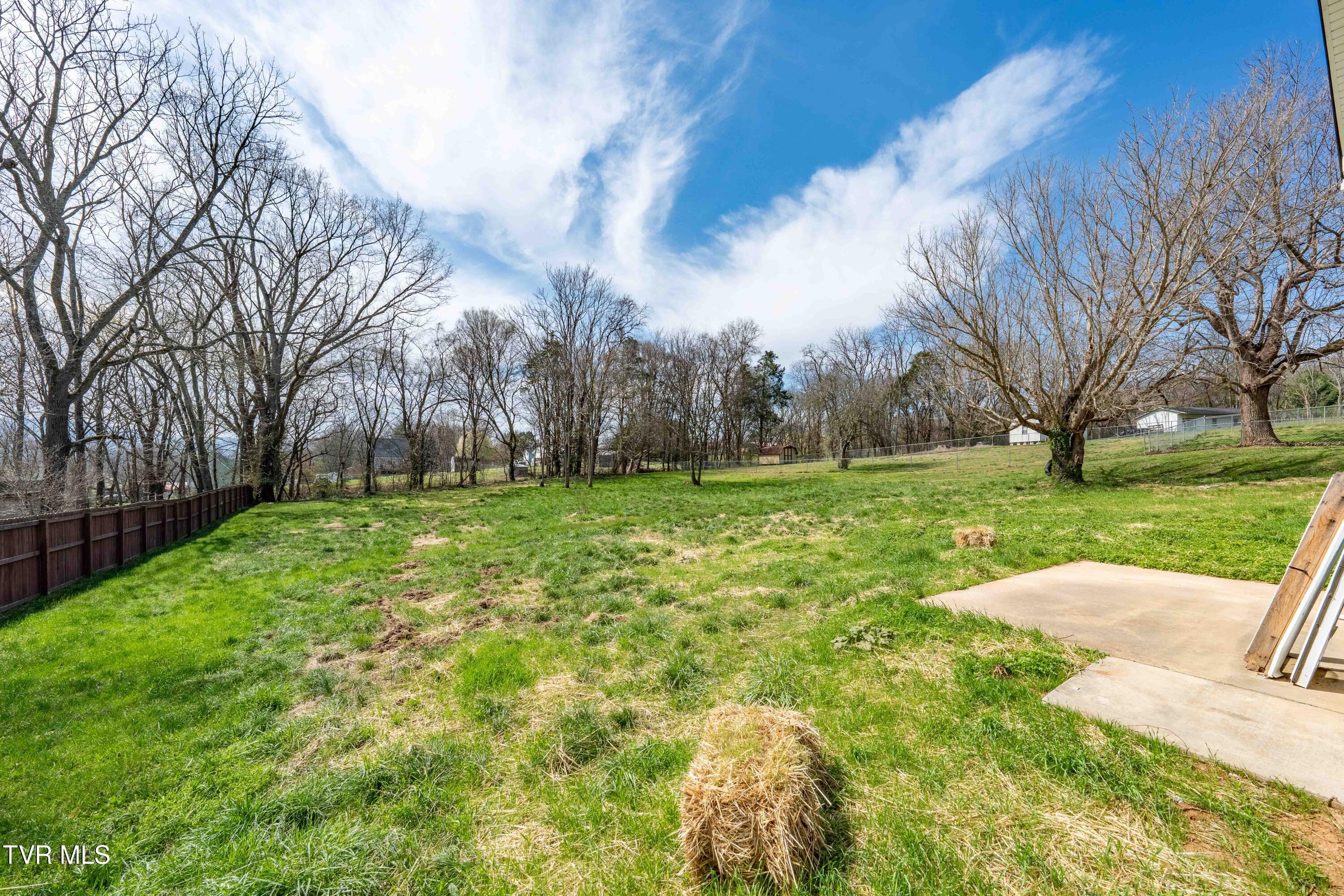 226 Dorothy Circle Limestone, TN 37681 - Photo 14 of 61 226 Dorothy Cir (11 of 61)