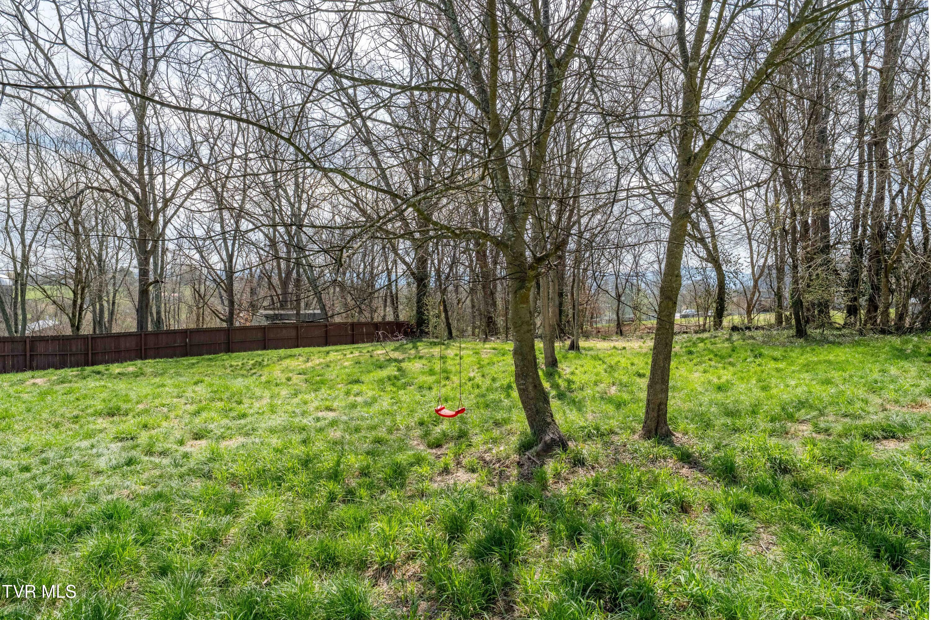 226 Dorothy Circle Limestone, TN 37681 - Photo 19 of 61 226 Dorothy Cir (16 of 61)