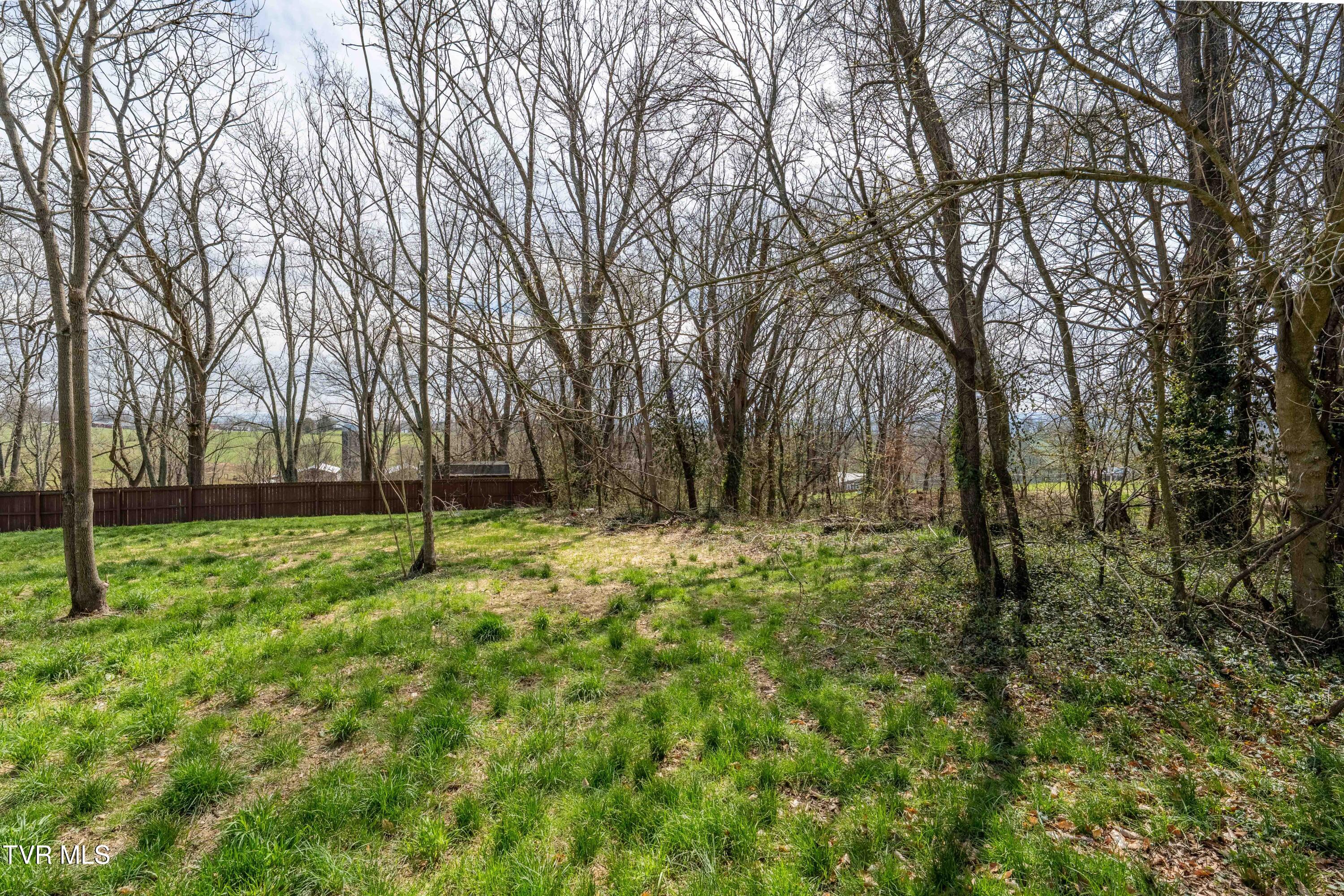 226 Dorothy Circle Limestone, TN 37681 - Photo 21 of 61 226 Dorothy Cir (18 of 61)